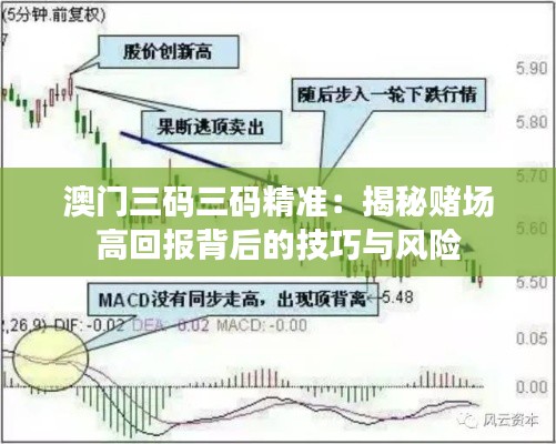 澳门三码三码精准：揭秘赌场高回报背后的技巧与风险