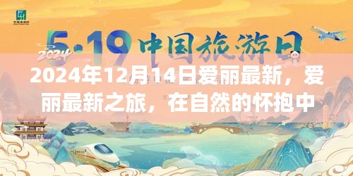 爱丽最新之旅，在自然的怀抱中探寻内心宁静与欢笑的美好时光（2024年12月14日）