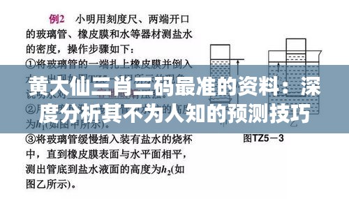 黄大仙三肖三码最准的资料：深度分析其不为人知的预测技巧