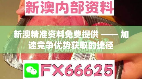 新澳精准资料免费提供 —— 加速竞争优势获取的捷径