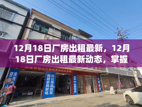 最新厂房出租动态，掌握市场趋势，轻松找到理想厂房（12月18日更新）