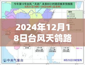 热门关注解析，台风天鸽路径预测与关注热议的台风天鸽动向（2024年12月18日）