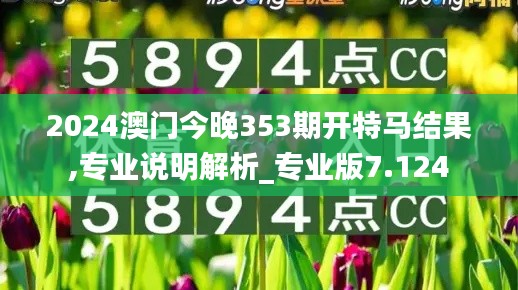 2024澳门今晚353期开特马结果,专业说明解析_专业版7.124