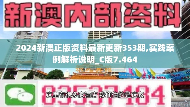 2024新澳正版资料最新更新353期,实践案例解析说明_C版7.464