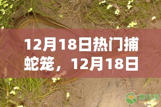 12月18日热门捕蛇笼选购指南及实用案例分析