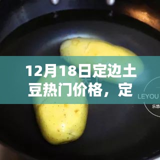 揭秘定边土豆新风尚，揭秘12月18日高科技土豆价格背后的创新力量与热门行情分析