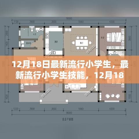 12月18日最新流行小学生技能全方位指南，轻松掌握小学生必备技能