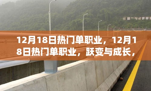 12月18日热门单职业，跃变与成长，自信引领未来之路