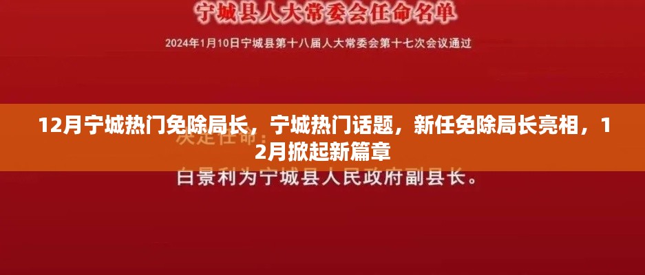 宁城新任免除局长亮相，掀起新篇章，热门话题热议不断