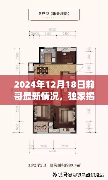 独家揭秘，莉哥新纪元下的高科技产品重塑未来生活体验，2024年12月18日最新动态揭秘！