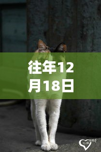 2024年12月21日 第7页