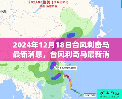 台风利奇马最新消息评测，特性解析、使用体验、竞品对比及用户群体深度分析