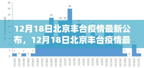 北京丰台疫情最新动态及防控进展，公众应对指南发布（12月18日更新）