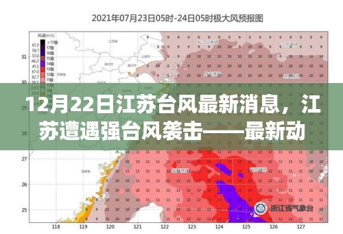 江苏遭遇强台风袭击，最新动态与深度解析（12月22日）