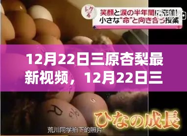 12月22日三原杏梨最新视频及其公众观点探析