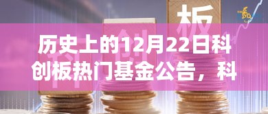 揭秘科创板背后的秘密，热门基金公告与美食宝藏的双重探索历程