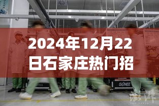 探秘石家庄隐秘招聘，普工女工的故事（2024年12月22日热门招聘）