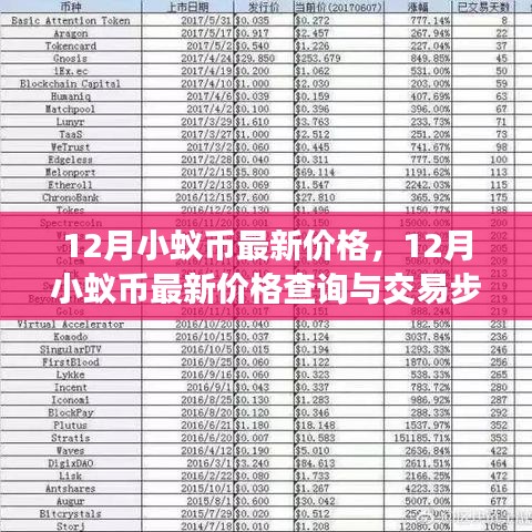 12月小蚁币最新价格及交易指南，查询与交易步骤详解