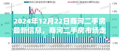 商河二手房市场走势深度解析，最新信息下的观点碰撞与个人立场