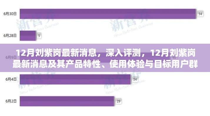 深度解析刘紫岗最新消息，产品特性、用户体验与目标用户群体分析