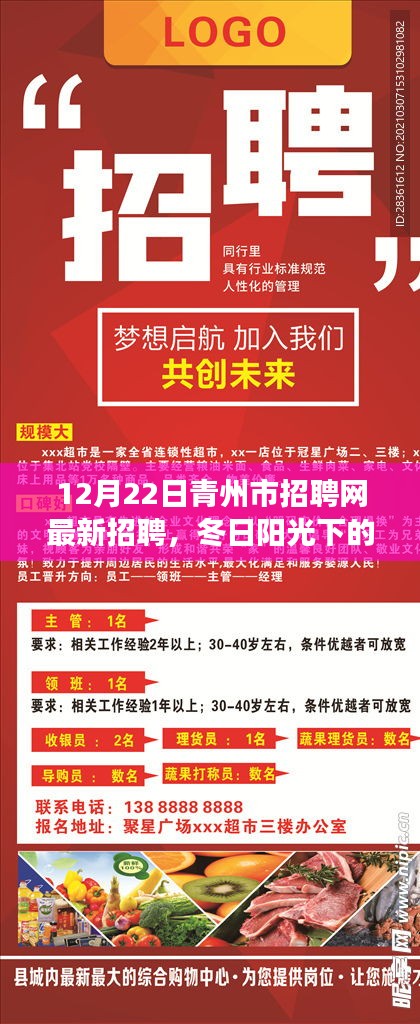 冬日阳光下的求职奇遇，青州招聘网最新招聘与友情梦想启航