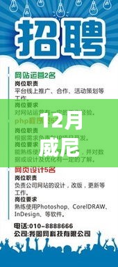 12月威尼都热门招聘启事，职业之旅启程，寻找内心的宁静与美景之旅