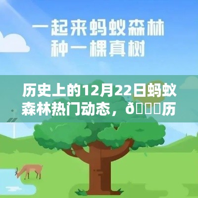 历史上的12月22日蚂蚁森林超级进化，科技重塑绿色生活体验