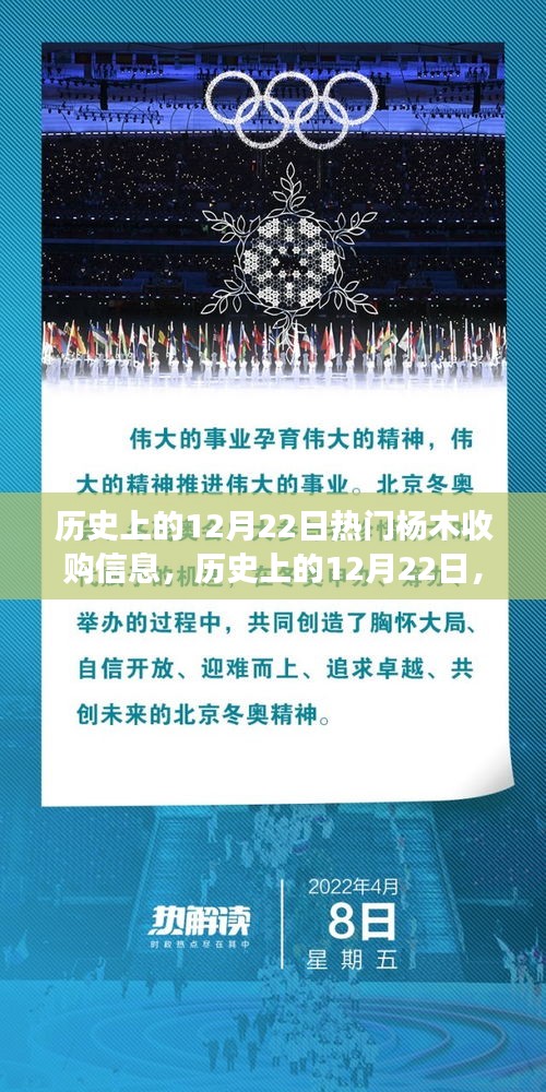 历史上的12月22日杨木收购信息揭秘，心灵静谧的宝藏之旅