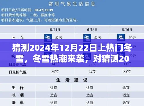 冬雪热潮来袭，全面评测与深度介绍2024年12月22日热门冬雪猜想