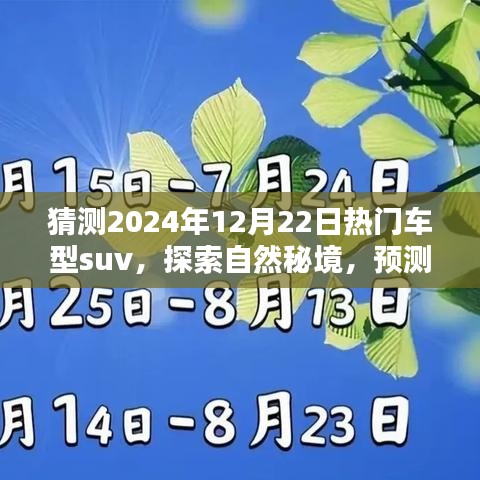 探索自然秘境，预测热门SUV车型猜想，带你走进宁静的未知世界（2024年热门车型猜想）