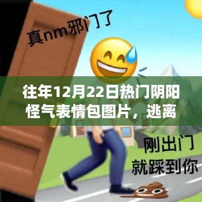 阴阳怪气表情包背后的故事与启示，逃离尘嚣，拥抱自然与旅行启示的奇妙之旅