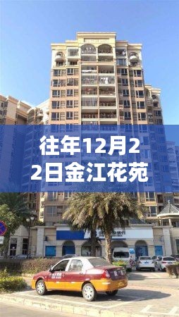 往年12月22日金江花苑自由行热门攻略揭秘与分享