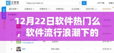 软件流行浪潮下的焦点，探究12月22日软件热门趋势