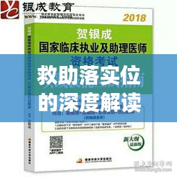 救助落实位的深度解读，细节揭秘与实践指南