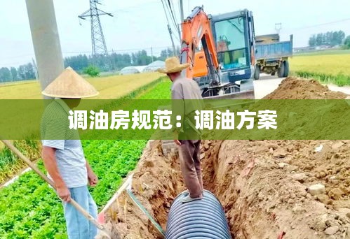 调油房规范：调油方案 
