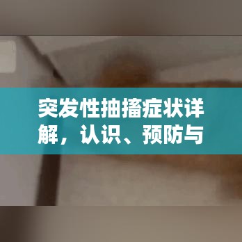 突发性抽搐症状详解，认识、预防与应急处理方法