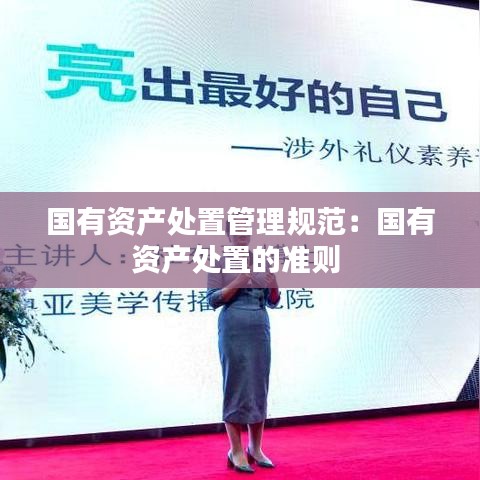 国有资产处置管理规范：国有资产处置的准则 
