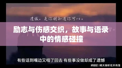 励志与伤感交织，故事与语录中的情感碰撞