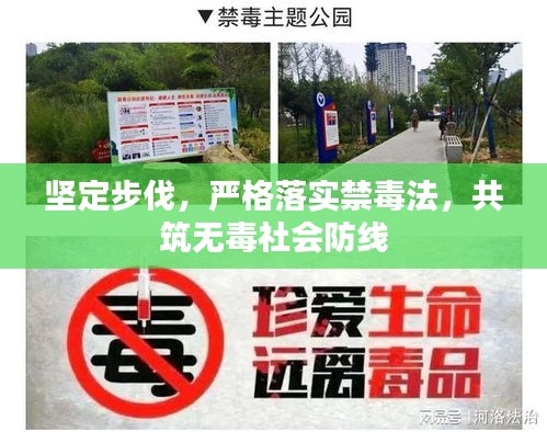 坚定步伐，严格落实禁毒法，共筑无毒社会防线