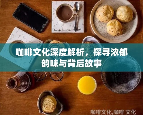 咖啡文化深度解析，探寻浓郁韵味与背后故事