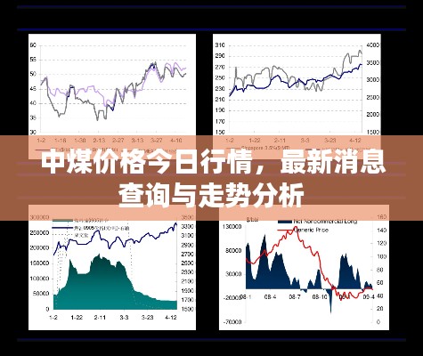 中煤价格今日行情，最新消息查询与走势分析