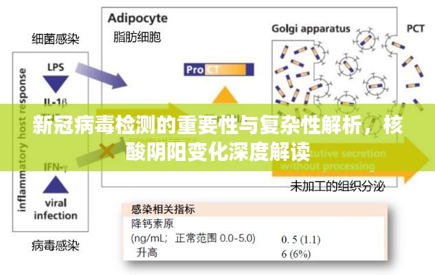 新冠病毒检测的重要性与复杂性解析，核酸阴阳变化深度解读