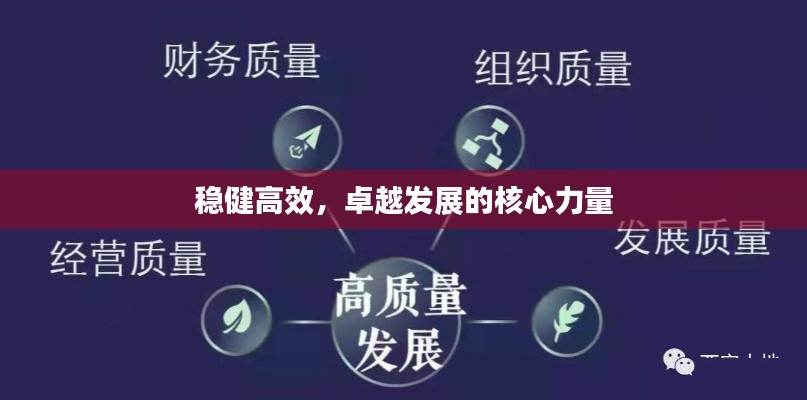 稳健高效，卓越发展的核心力量