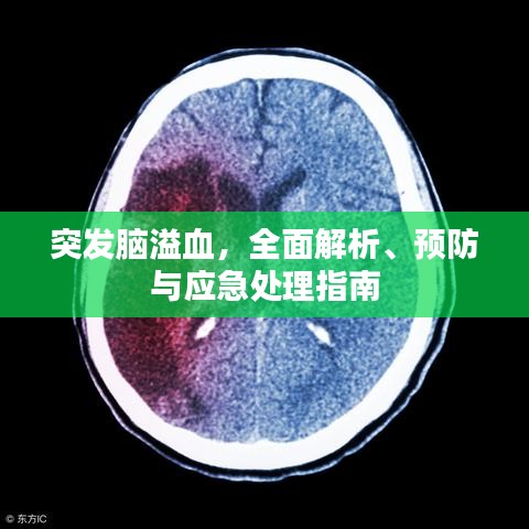 突发脑溢血，全面解析、预防与应急处理指南