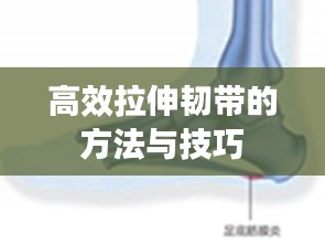 高效拉伸韧带的方法与技巧