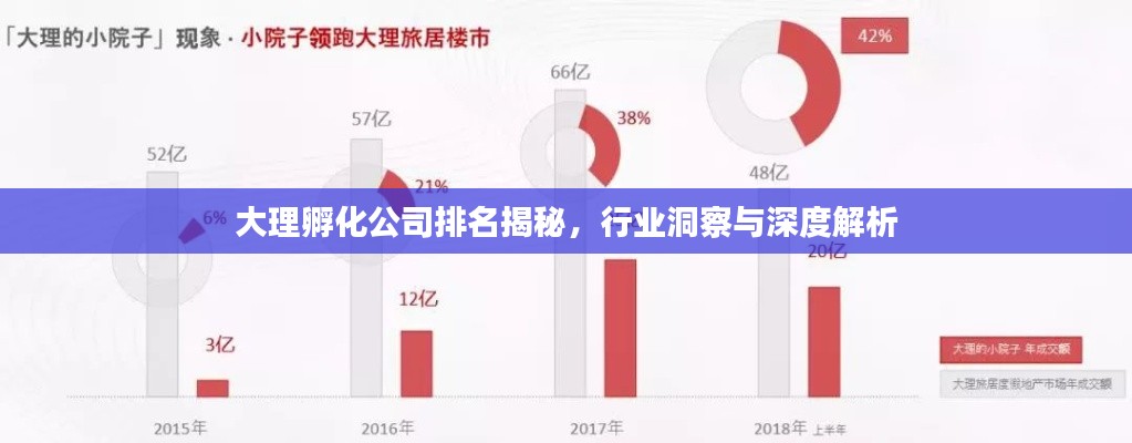 大理孵化公司排名揭秘，行业洞察与深度解析