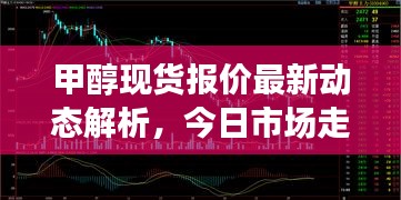 甲醇现货报价最新动态解析，今日市场走势分析