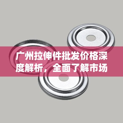 广州拉伸件批发价格深度解析，全面了解市场行情与优质供应商推荐