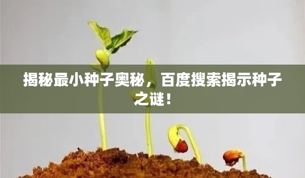 揭秘最小种子奥秘，百度搜索揭示种子之谜！