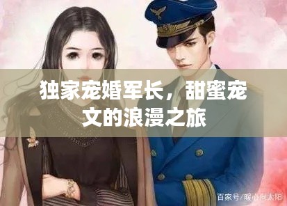 独家宠婚军长，甜蜜宠文的浪漫之旅